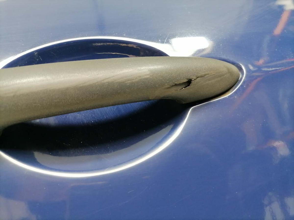 Renault Grand Modus original T&uuml;r hinten rechts OV460 K&ouml;nigsblau Rohbau Bj.2008